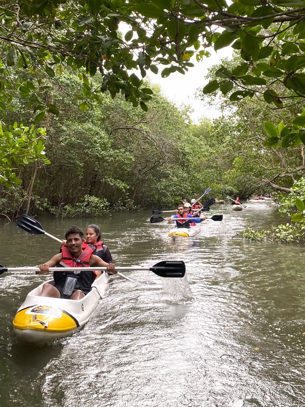 Volta a Ilha de Vitória