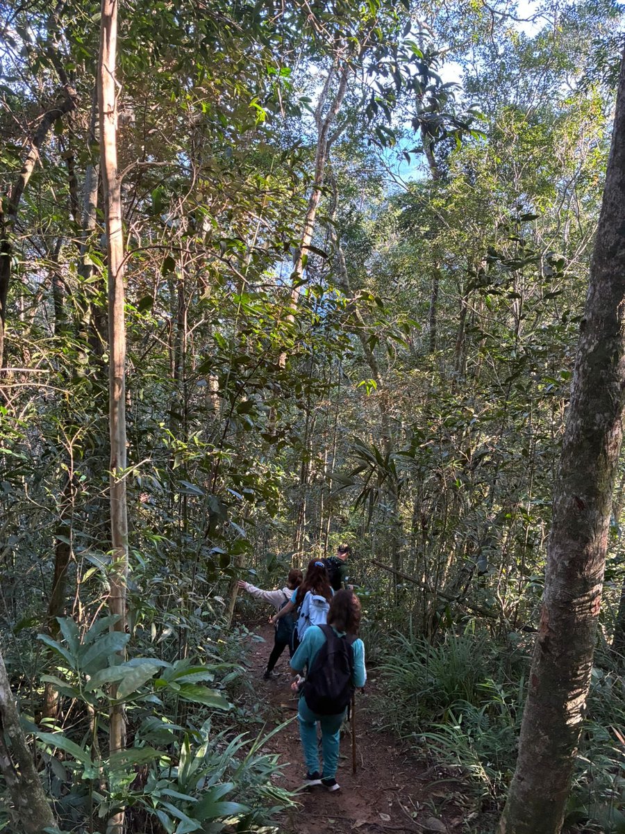 Pico do Piúva