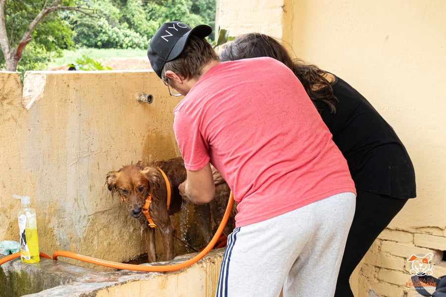 Fazenda Nossa Senhora Conceição pet friendly Jundiaí