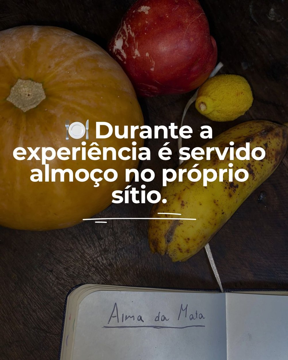 Trilha do Sitio Alma da Mata (Almoço Incluso), Sana, Macaé RJ