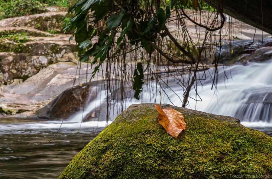 Poço do Tarzan