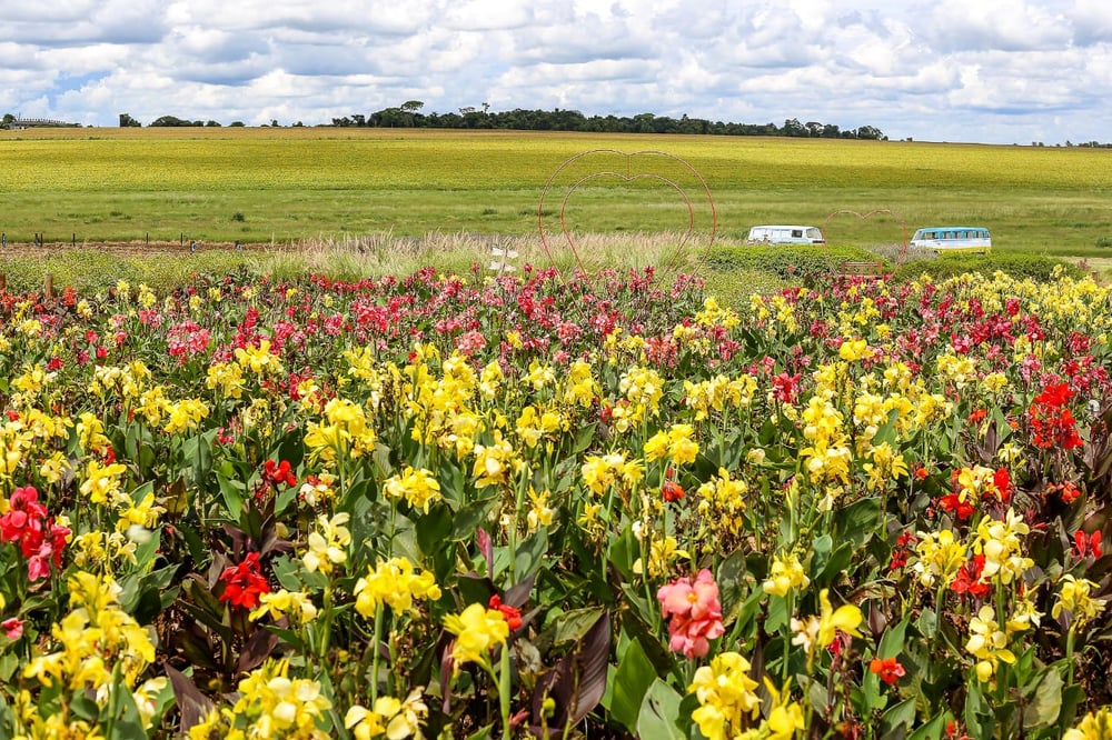 City Tour Holambra com visita a fazenda de flores