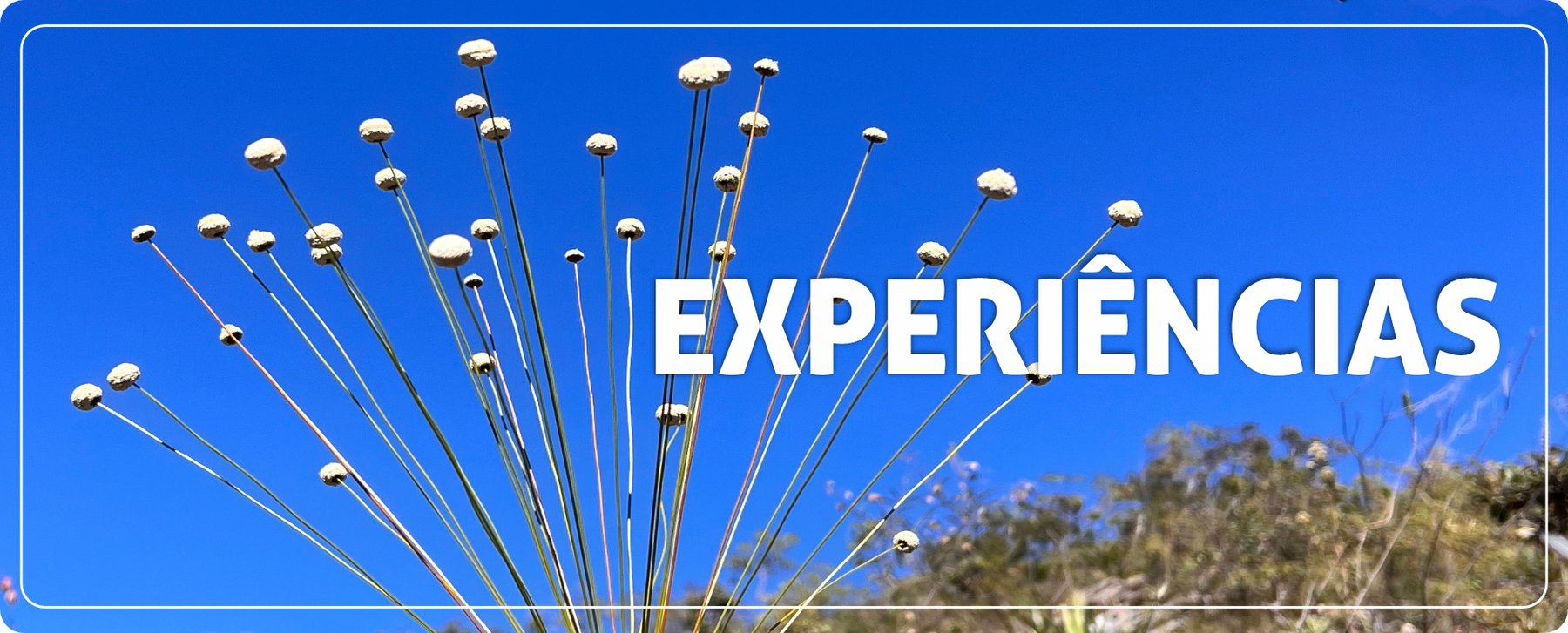 Experiências