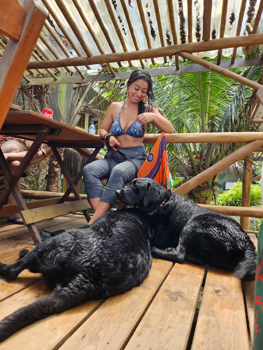 Aventura na praia Peruíbe pet friendly trilha, barco, pousada 