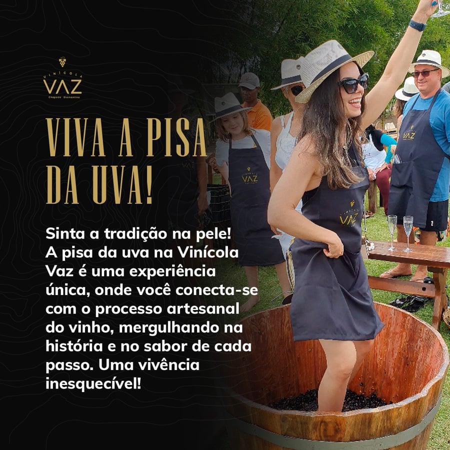 Viva a Pisa da Uva