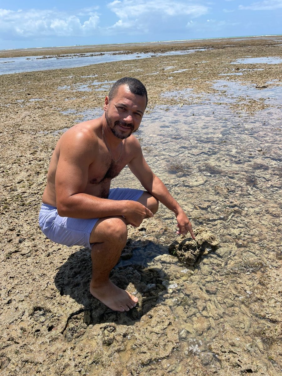Uma bela parada nos corais com piscinas naturais 