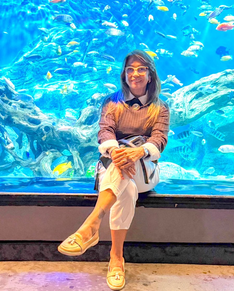 AquaRio no Rio de Janeiro: um passeio que une natureza, educação e diversão, ideal para quem busca conhecer os principais atrativos turísticos da cidade com a JHOW RJJ.