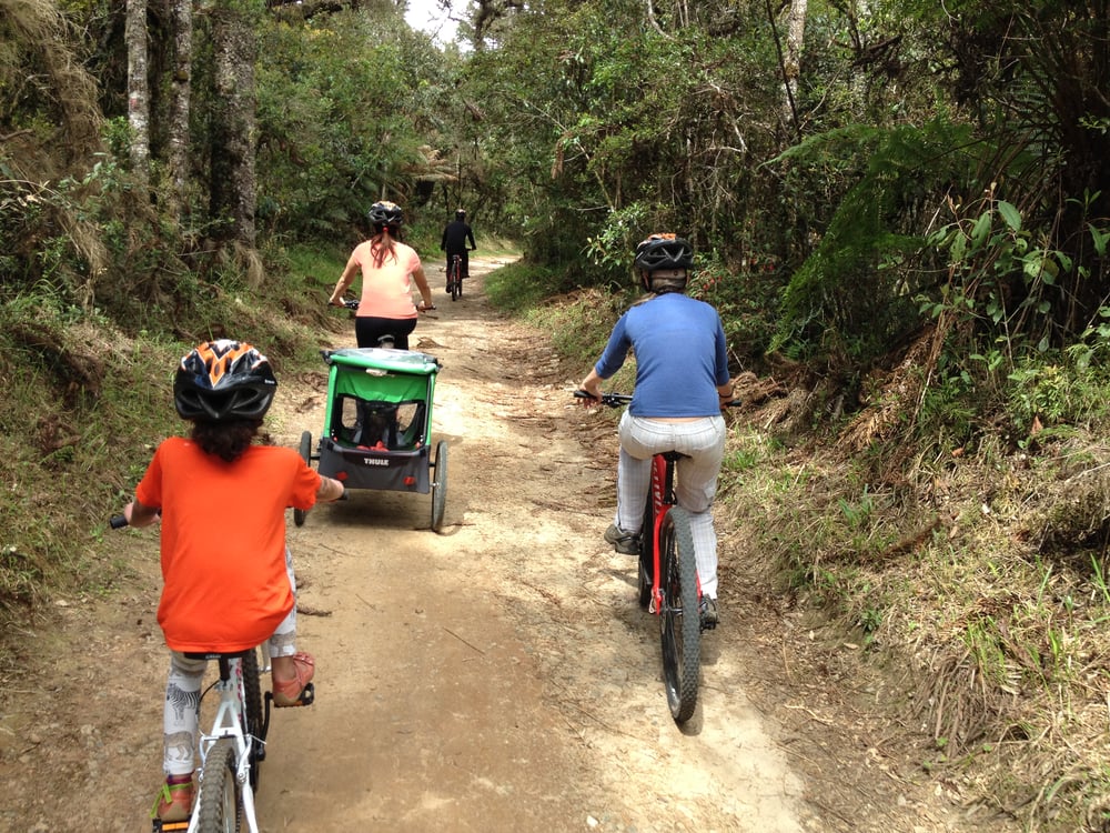 Aluguel de Bicicletas (Grande)
