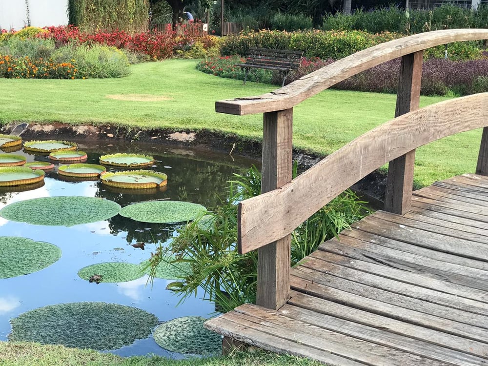 23/04 Jardim Botânico Plantarium e Cultura Leta em Nova Odessa