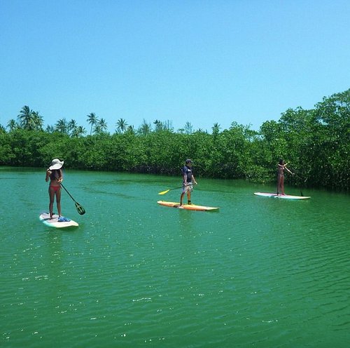  Aula competa stand up paddle 