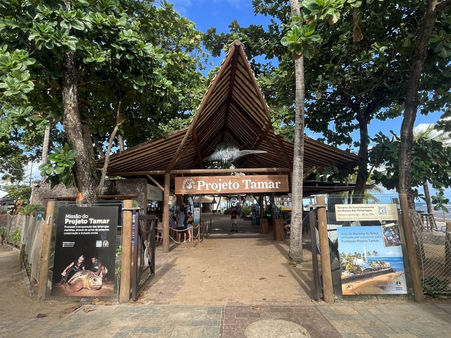 Uma experiência encantadora para todas as idades. O Projeto Tamar aproxima os visitantes da rica biodiversidade marinha e do importante trabalho de conservação realizado na Bahia.