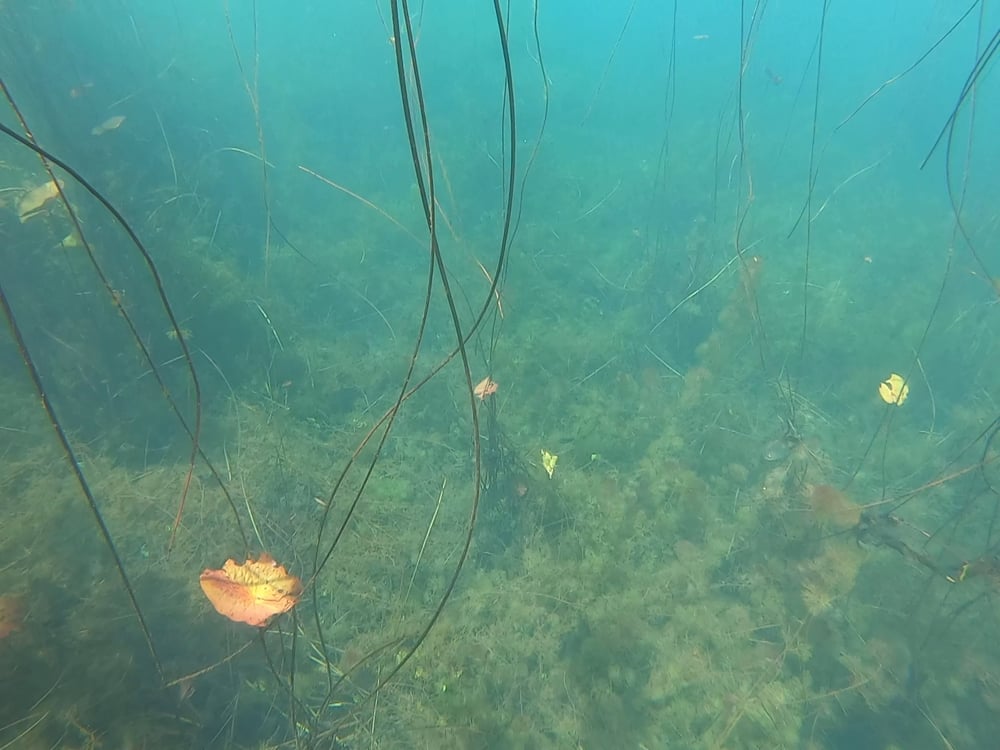 Água cristalina no Povoado Nazaré