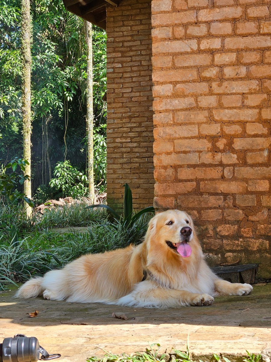 Trilha Pet + Degustação de Vinhos e Almoço na Vinícola Saccomani