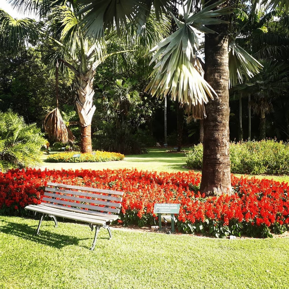 23/04 Jardim Botânico Plantarium e Cultura Leta em Nova Odessa