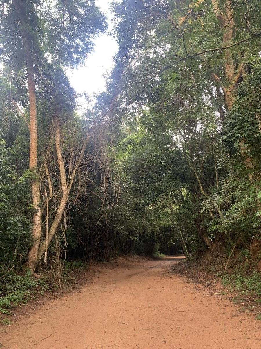 ambém conhecido como Caminho do Bonde ou Estrada do Bonde, a trilha do Parque Linear Ribeirão das Cabras percorre o trecho da antiga Maria-Fumaça do Ramal Férreo Campineiro, que anos mais tarde virou bonde.  Apesar da linha férrea não existir mais, a trilha se tornou uma das mais populares da região, justamente por sua facilidade e beleza, já que faz parte do Parque Linear do Ribeirão das Cabras.