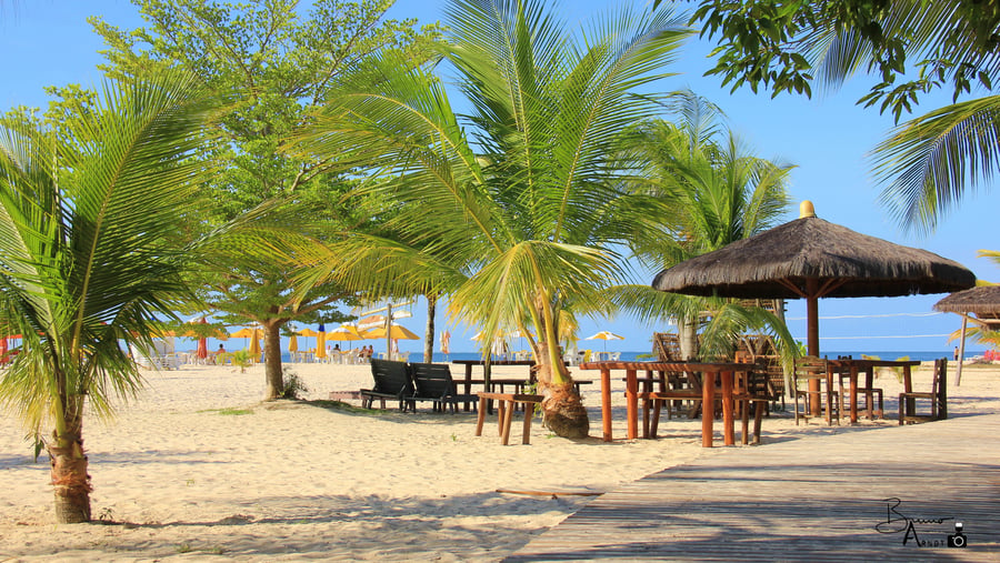 Cenário à beira-mar na Gamboa, cercado por coqueiros e natureza tropical.