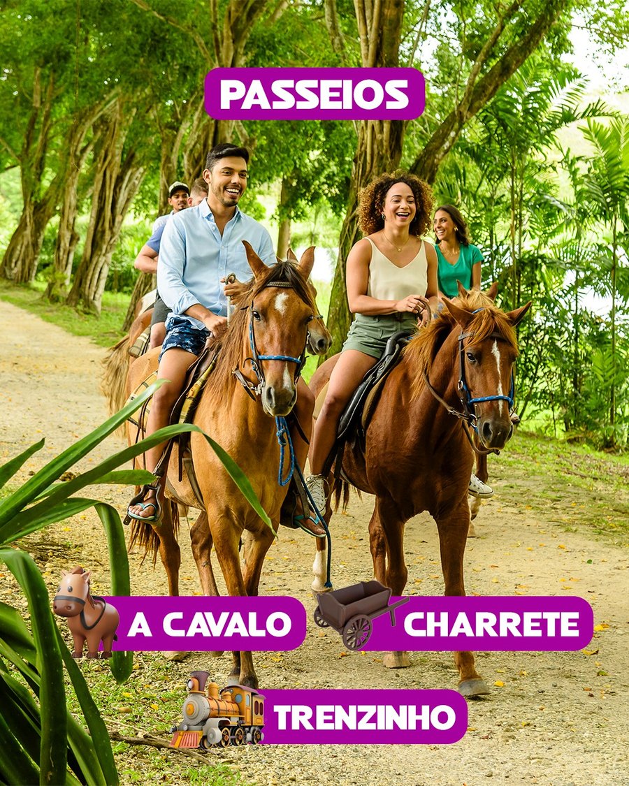 Passeio Aracaju e Fazenda Boa Luz: Natureza e Praia