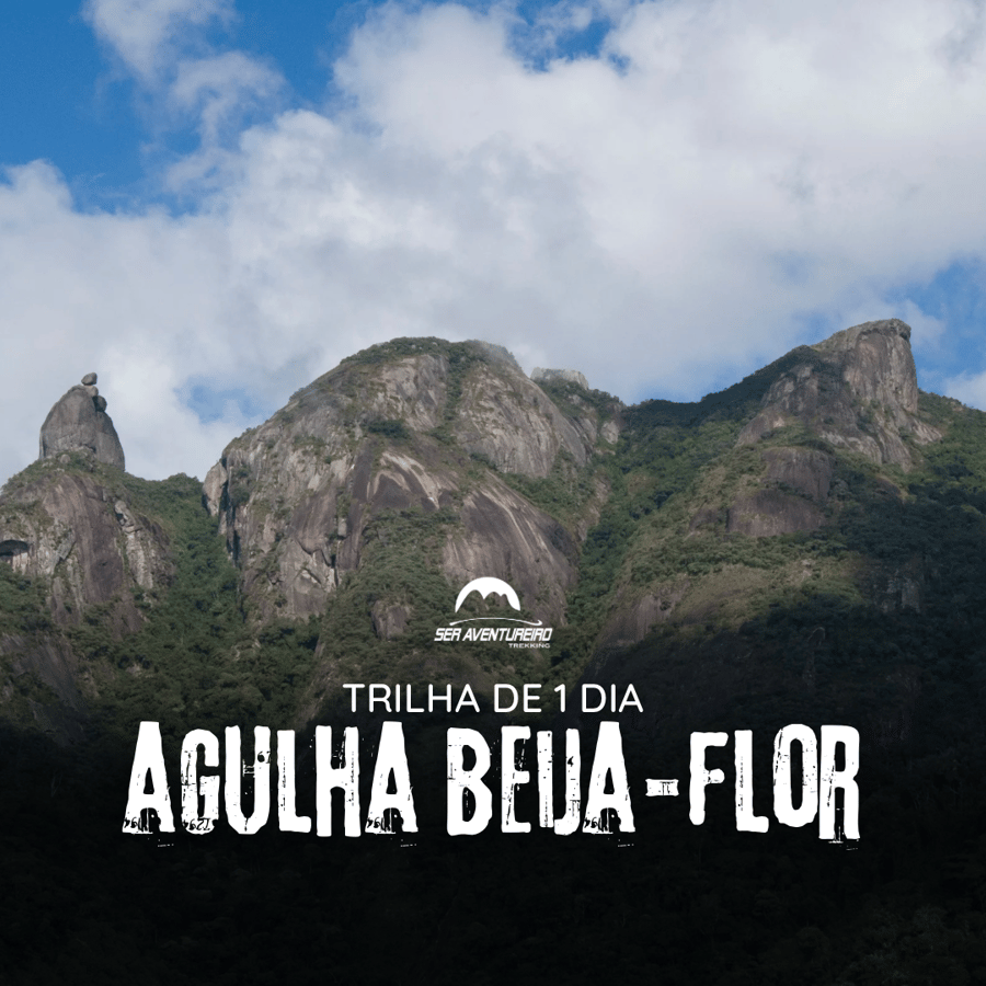 Agulha Beija-Flor