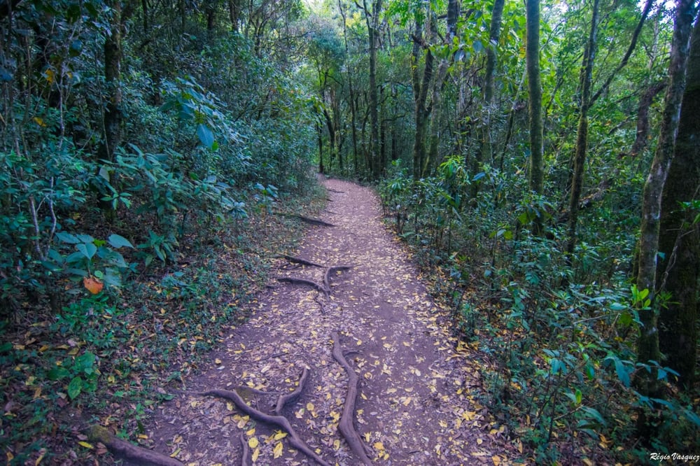 PEDRA REDONDA + TOUR PERSONALIZADO EXCLUSIVO (02 PESSOAS)