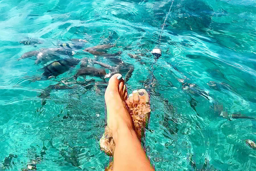 aguas cristalinas