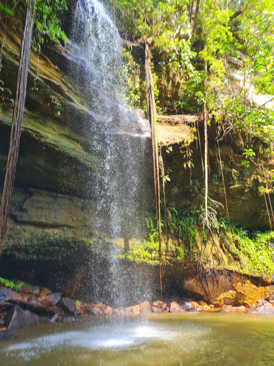 Cachoeira das Araras