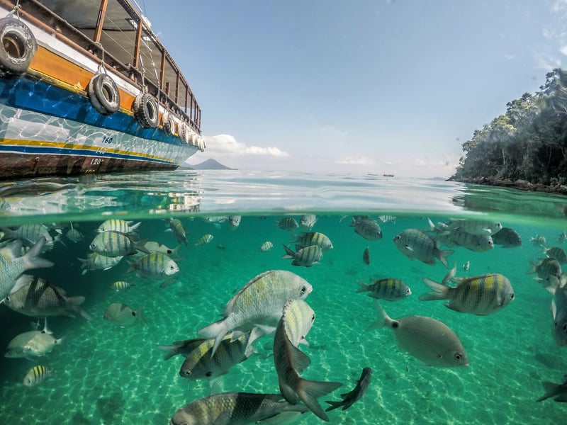 Passeio de barco em Angra dos Reis / Ilha Grande