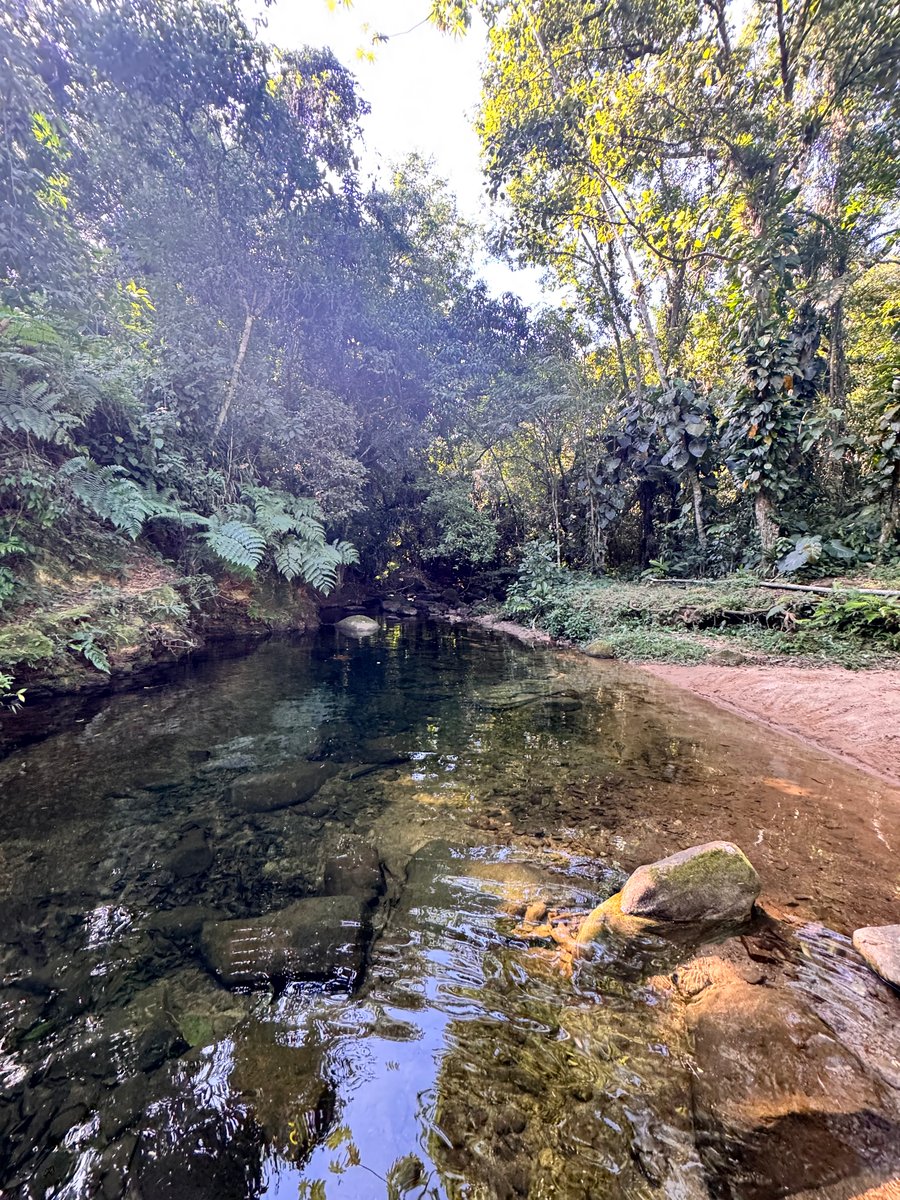 Cachoeira a poucos passos!