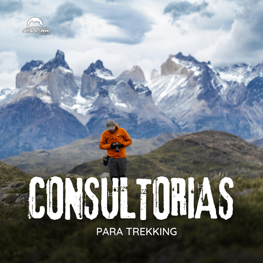 Consultorias