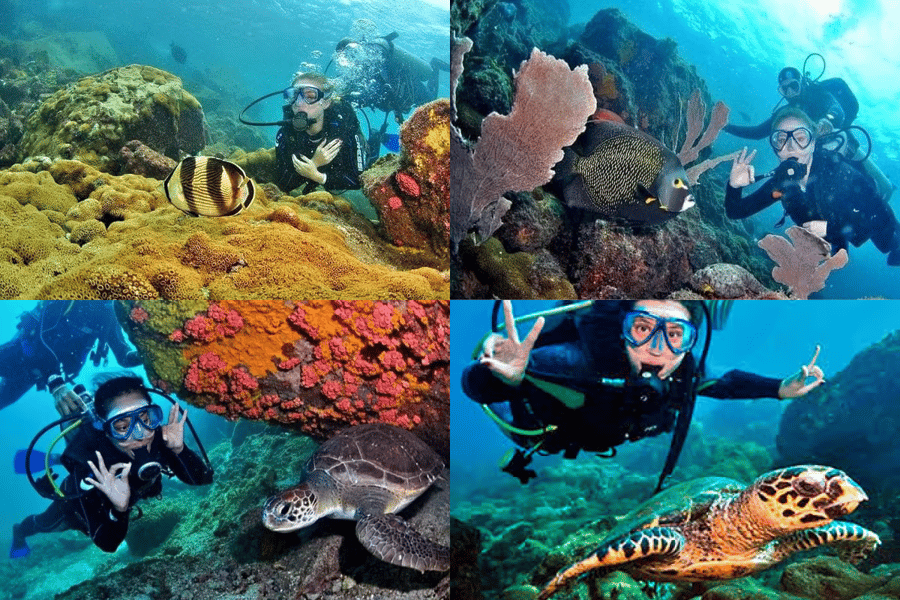 Guia dos Passeios em Arraial do Cabo: O Paraíso Azul do Brasil