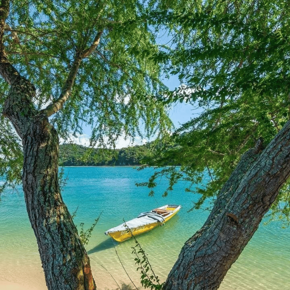 Ilha de Maria guarda