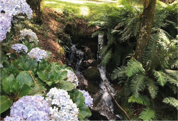 Entrada - Parque Oschin