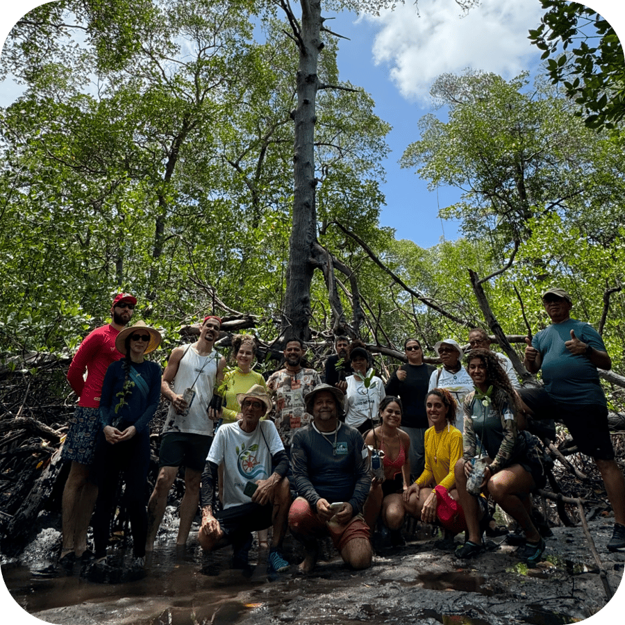 Coração do mangue de Maracaípe