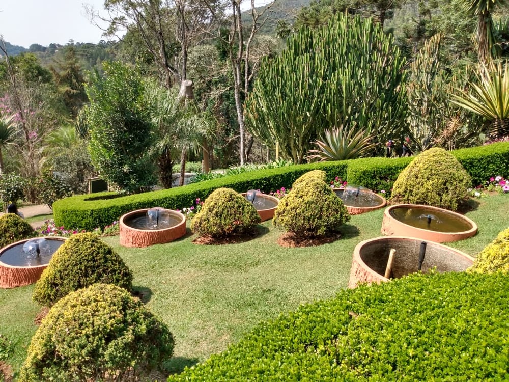 13/08 Santo Antonio do Pinhal e Jardins Temáticos EccoParque