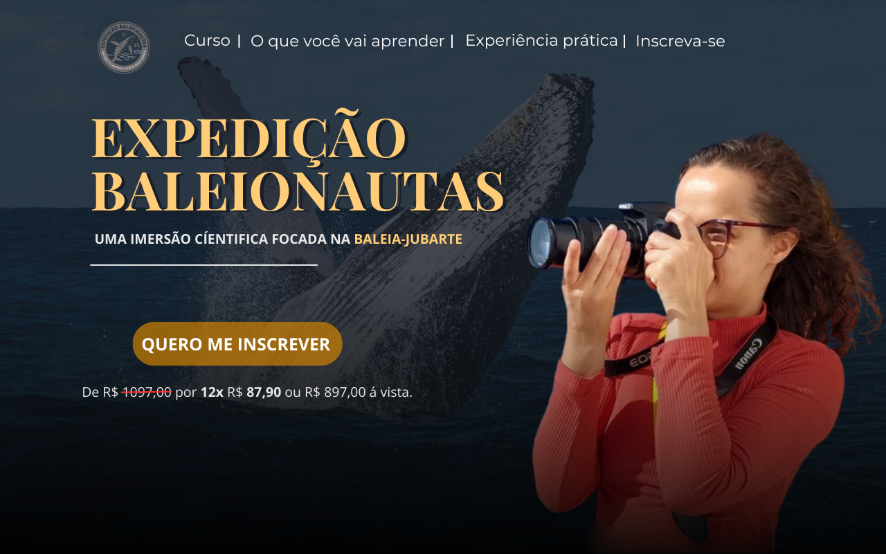 CURSO BALEIONAUTAS