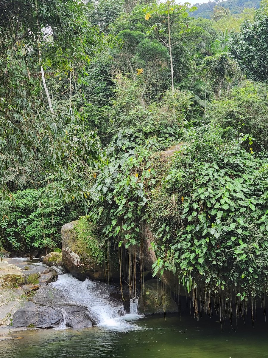 Cachoeira e Poço do Tarzan