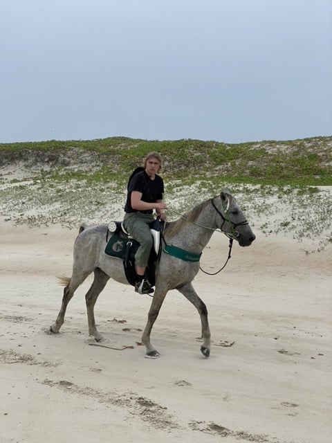 PASSEIO A CAVALO NA PRAIA EM BÚZIOS