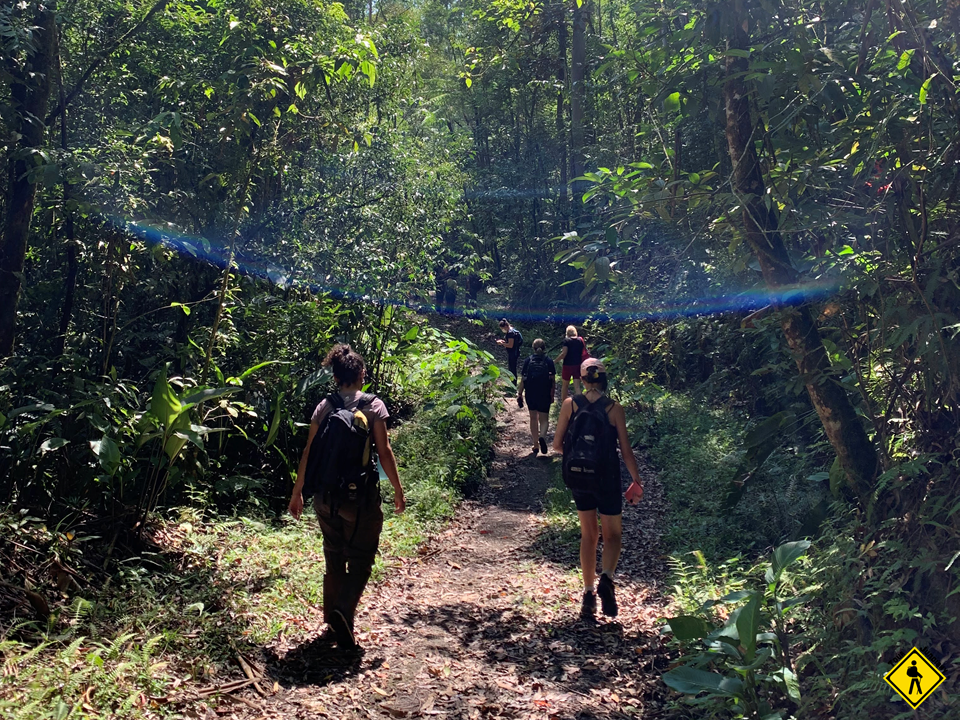 Trilha Do Mirante -  Parque Das Neblinas 
