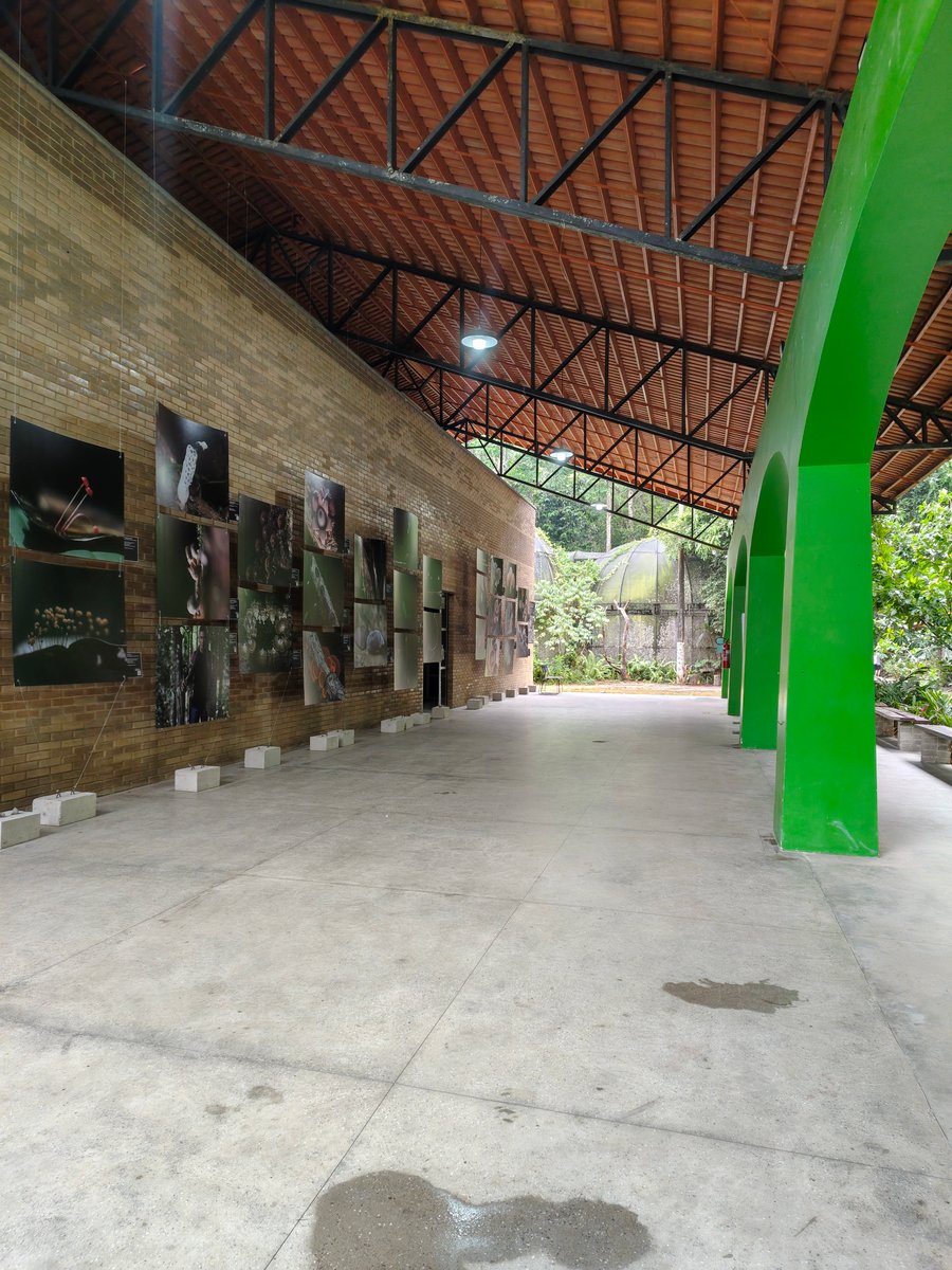 Saguão fotos 