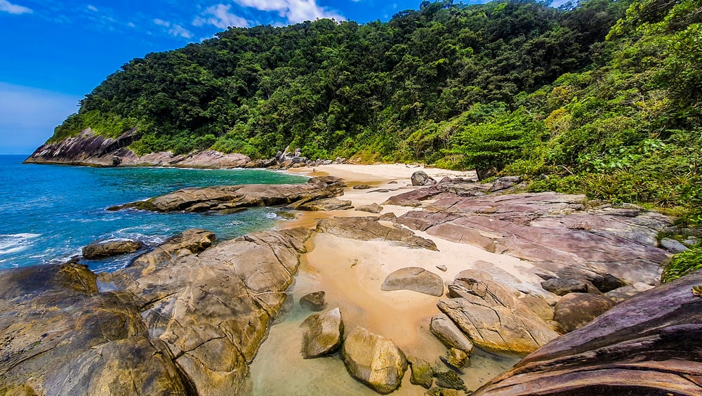 Trilha Praia Brava De Boracéia