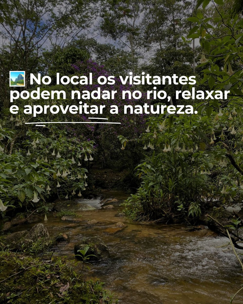 Trilha do Sitio Alma da Mata (Almoço Incluso), Sana, Macaé RJ