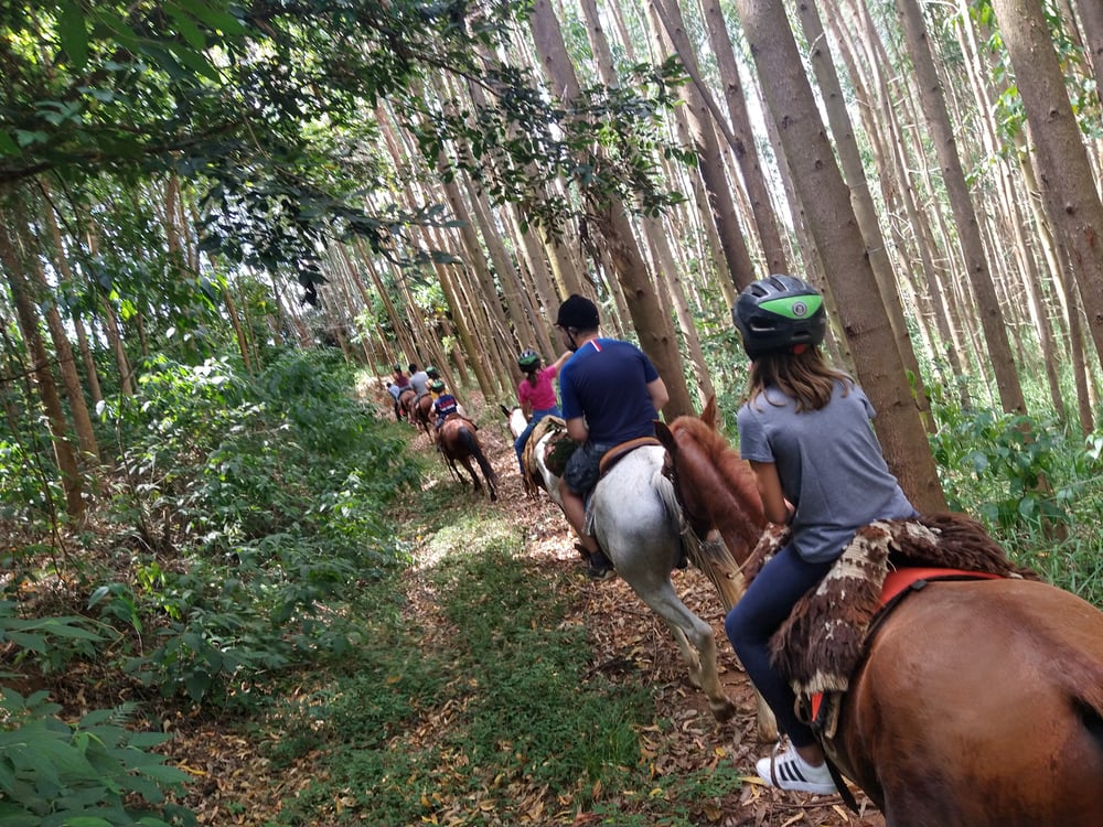 Passeio a Cavalo - Roteiro 02 - Pico da fazenda