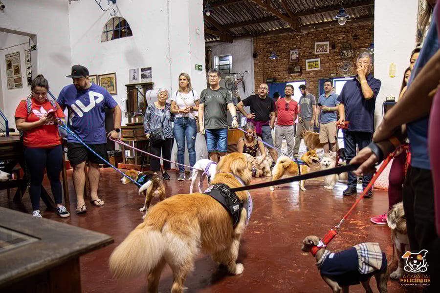 Fazenda Nossa Senhora Conceição pet friendly Jundiaí