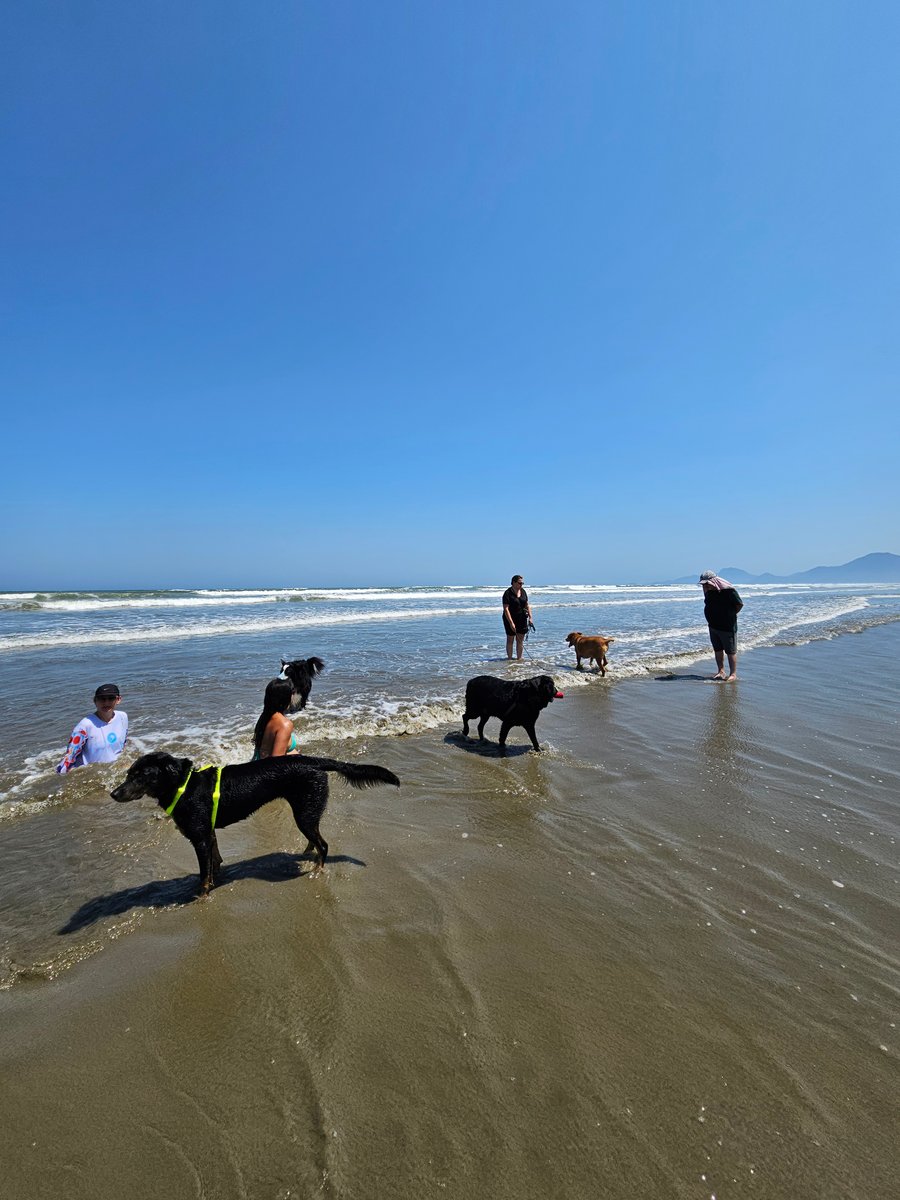 Aventura na praia Peruíbe pet friendly trilha, barco, pousada 