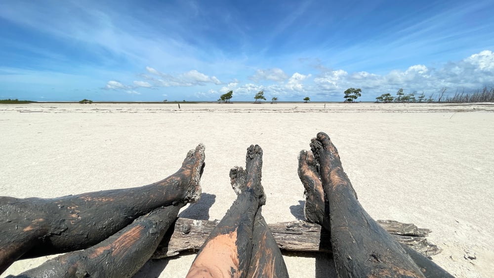 Contato com o mangue