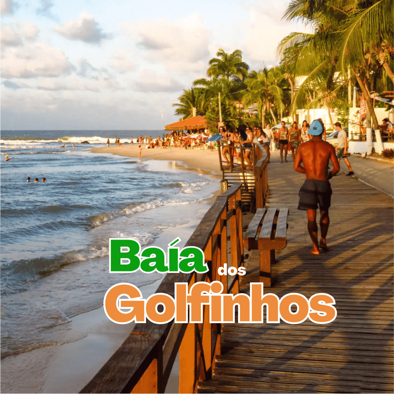 Baía dos Golfinhos : onde é e como chegar ?