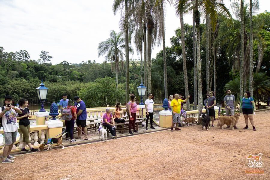 Fazenda Nossa Senhora Conceição pet friendly Jundiaí