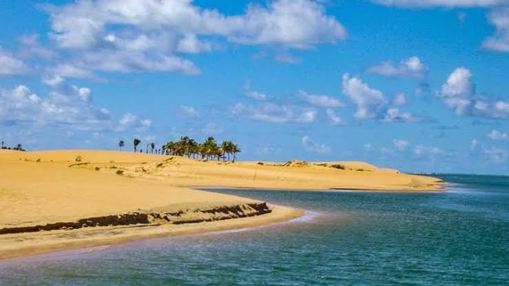 Foz  do rio São francisco