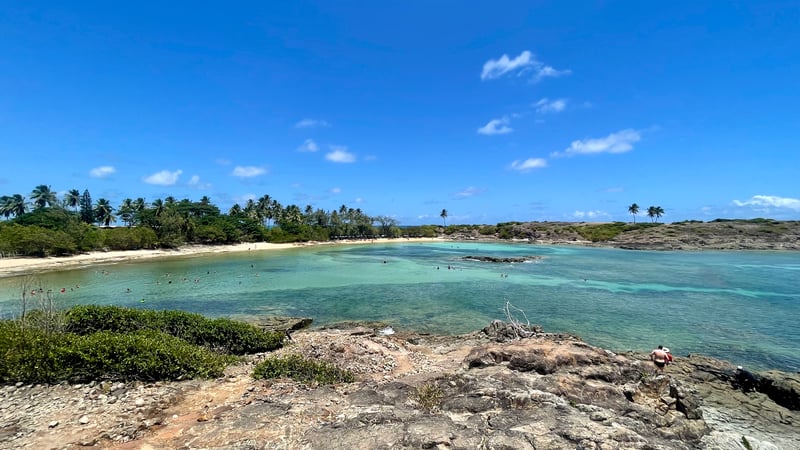 Ilha de Santo Aleixo
