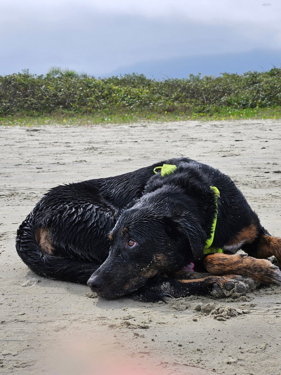 Aventura na praia Peruíbe pet friendly trilha, barco, pousada 