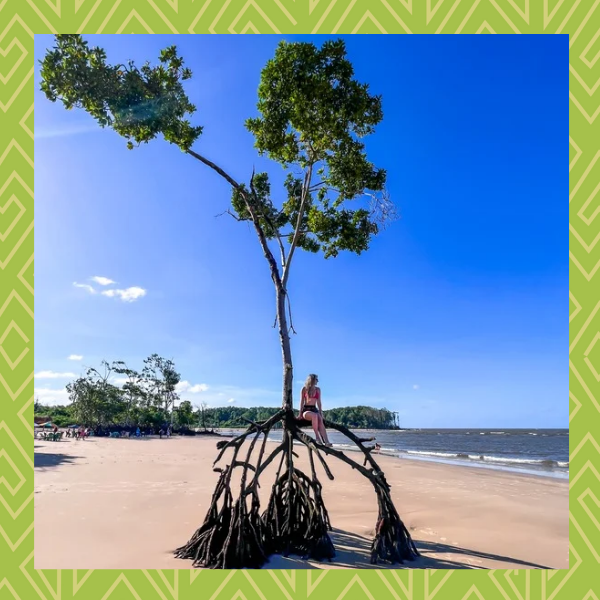 Praia da Barra Velha